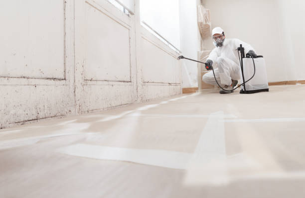 24/7 Emergency Basement Mold Remediation experts in Burlington, NC