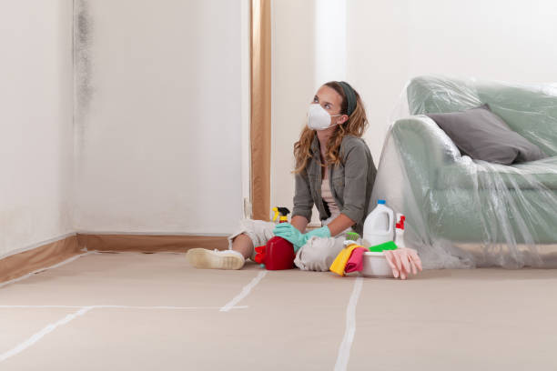 Reliable Basement Mold Remediation contractor in Burlington, NC by 24 Hour Mold Removal